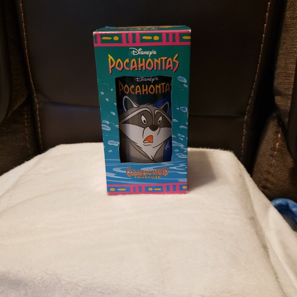 Pocahontas Plastic Cup